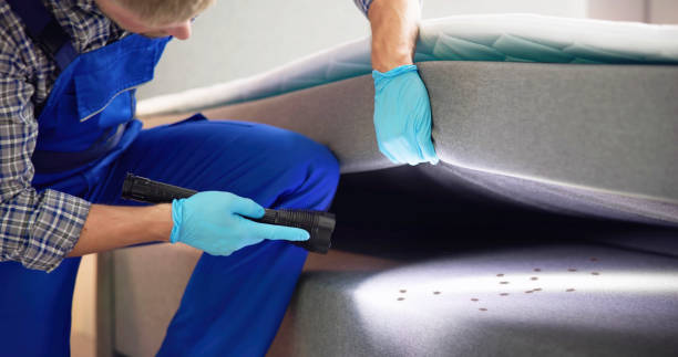 Best Affordable Pest Control Services  in Monrovia, CA