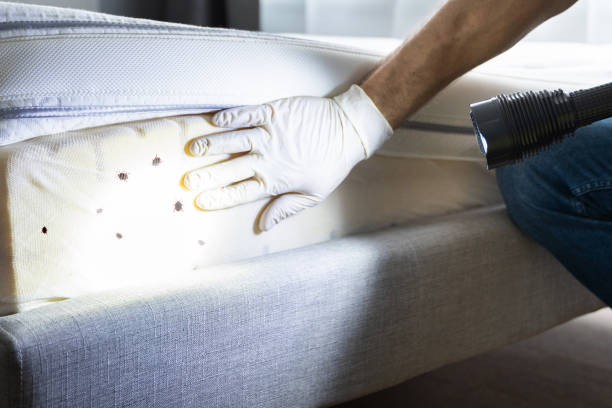 Best Residential Pest Control  in Monrovia, CA