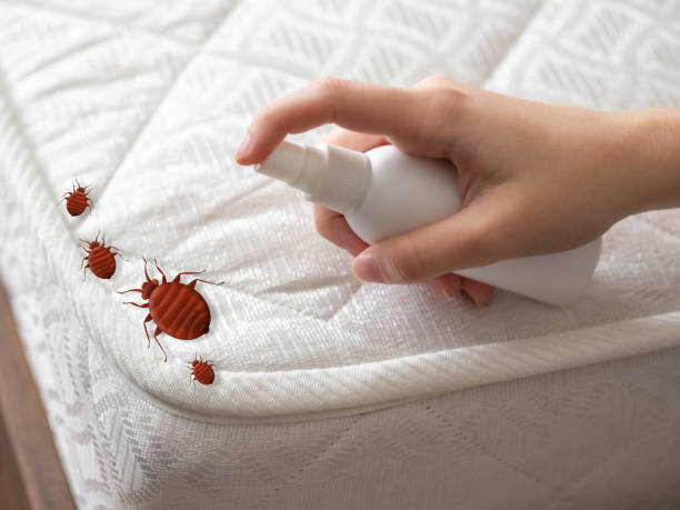 Trusted Monrovia, CA Pest Control Experts
