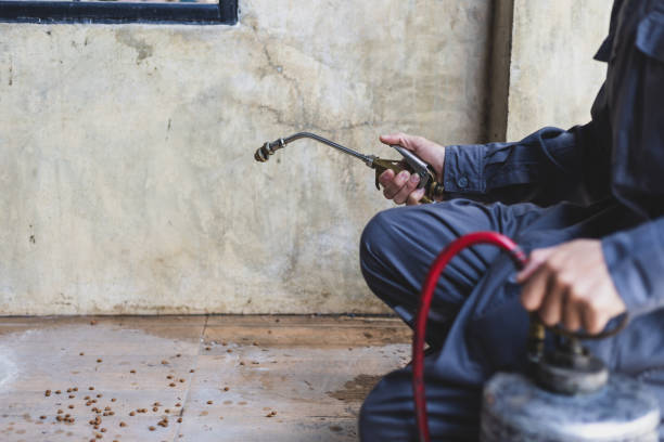 Best Termite Control Services  in Monrovia, CA